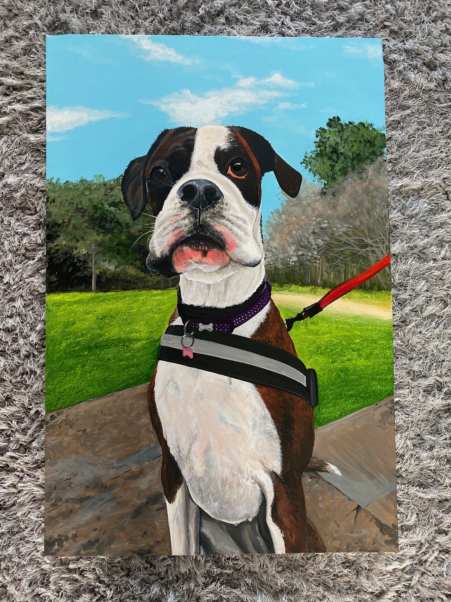 Boxer Dog Canvas 3'x2'