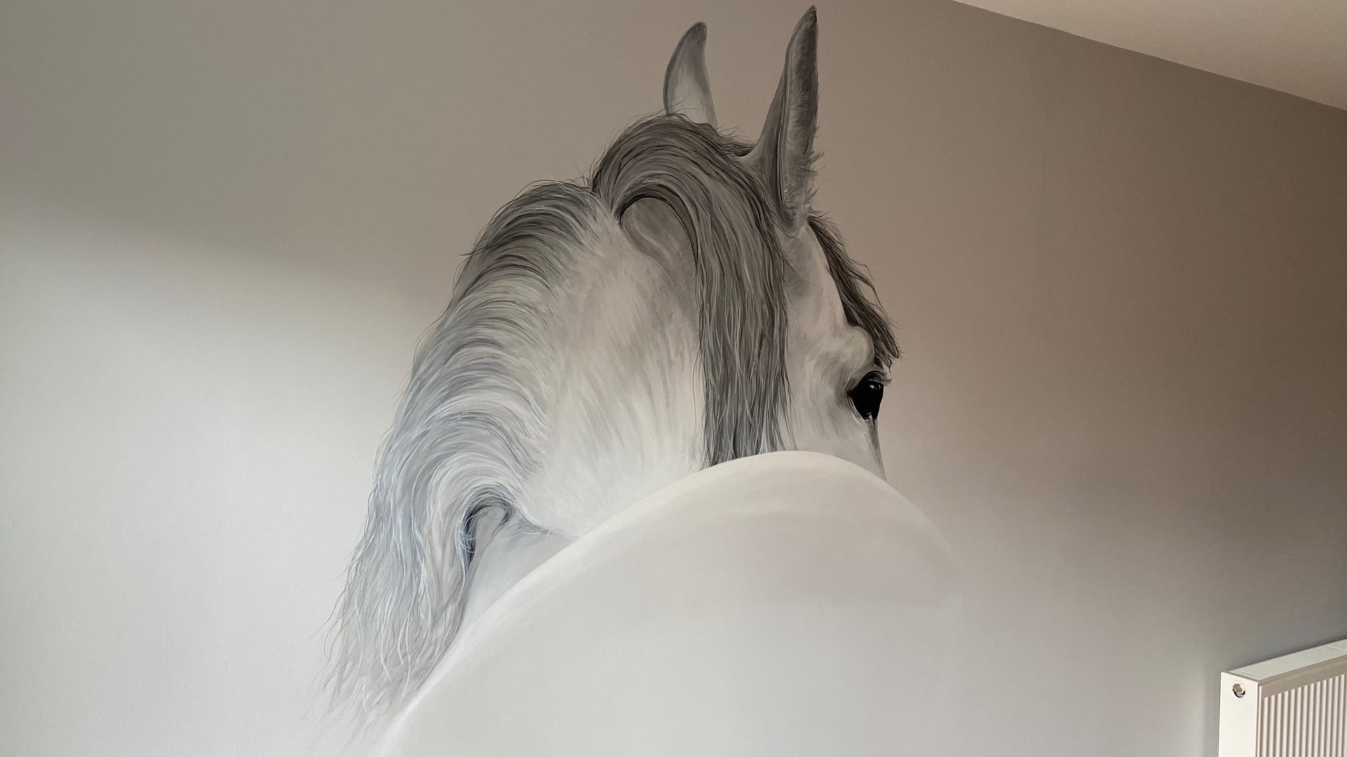 Horse Feature wall 