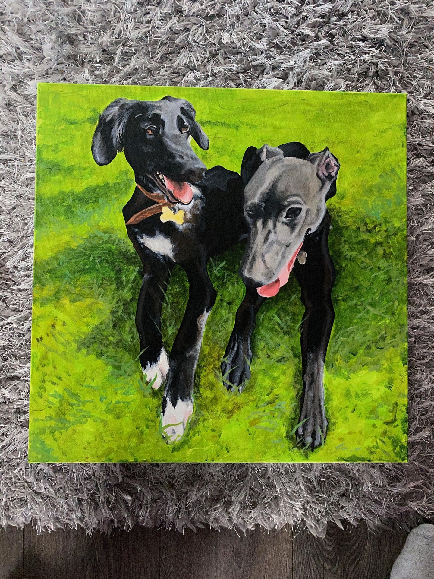 Dogs Canvas