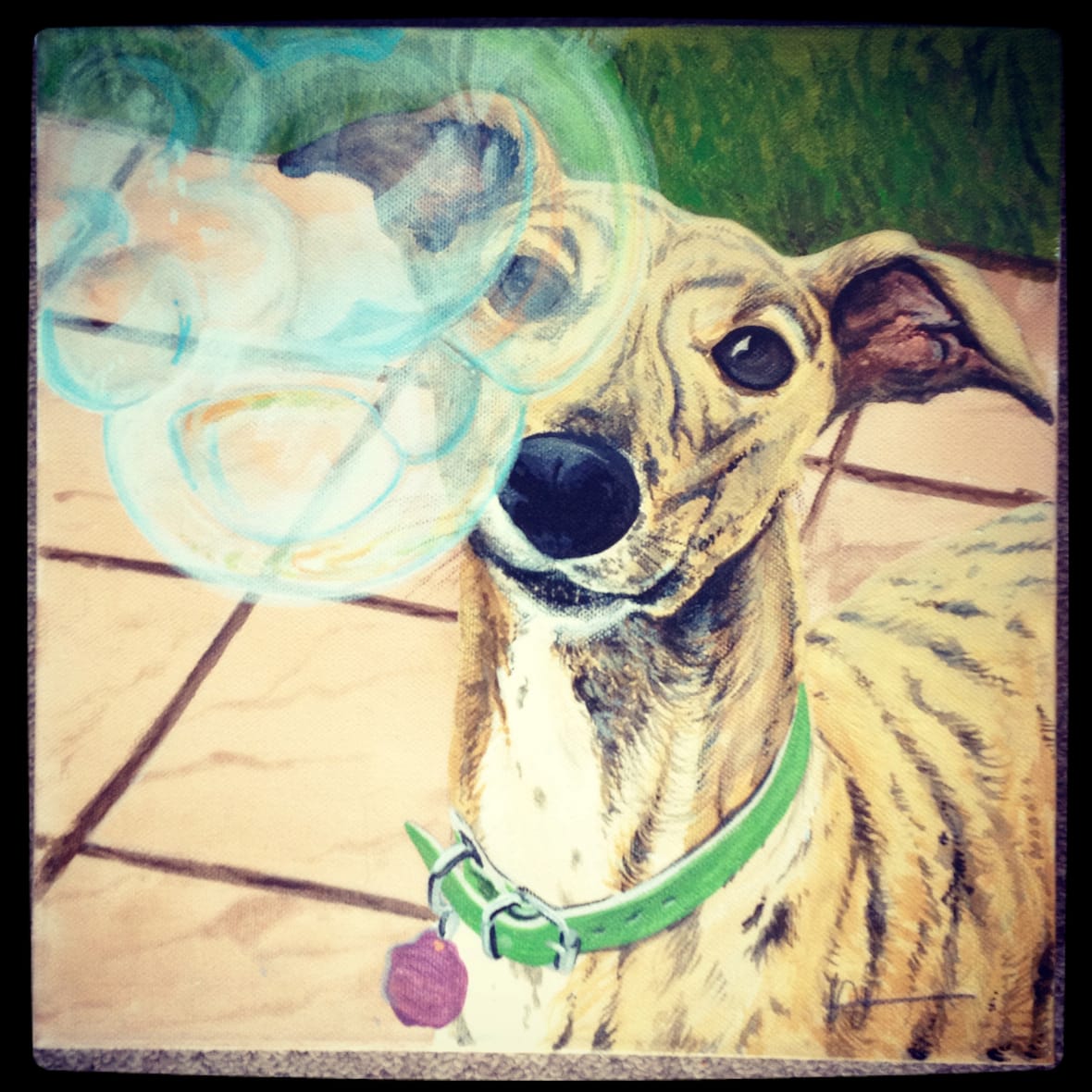 Dog and Bubbles Canvas